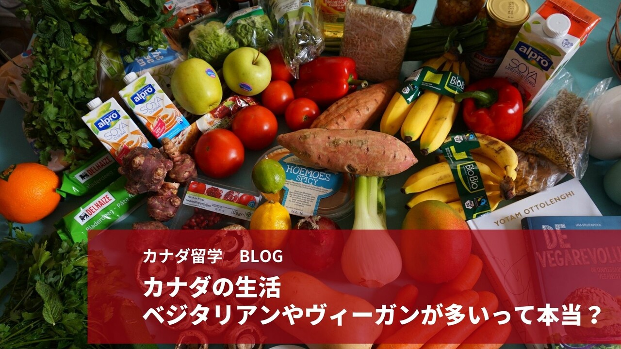 large canada life study abroaｄ