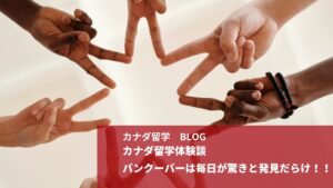 留学体験談