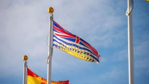 bc pnp newest updates[1]