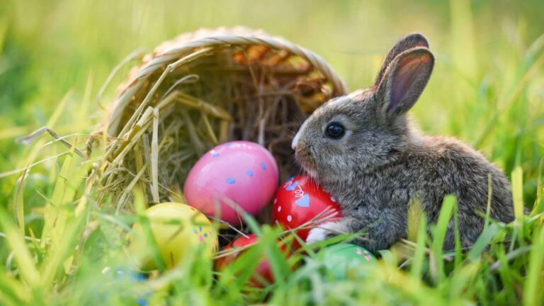 easter celebrations in vancouver and toronto 2024 edition1