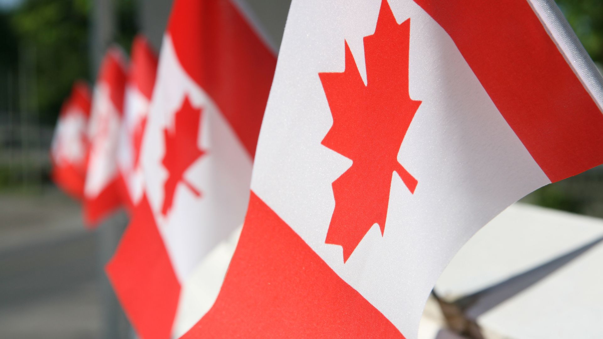 canada flags