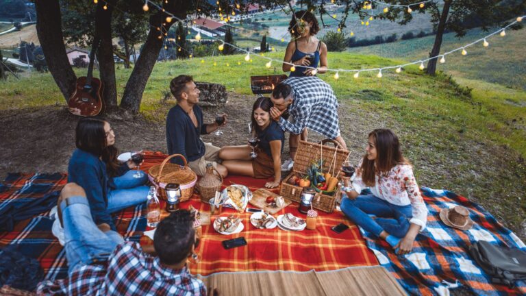 picnic